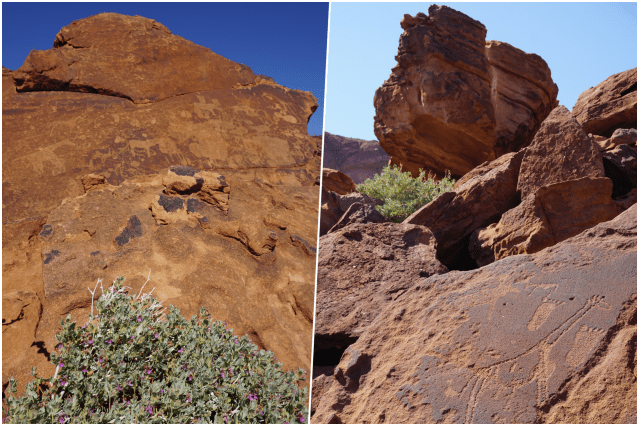 collage twyfelfontein 3