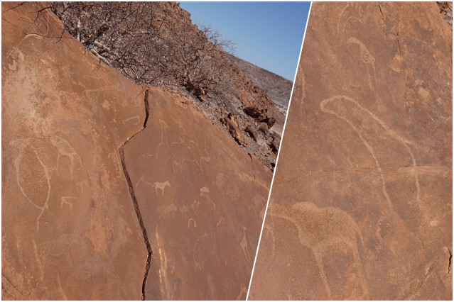 collage twyvelfontein.png