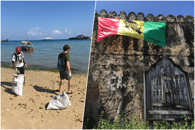 collage nettoyage.png