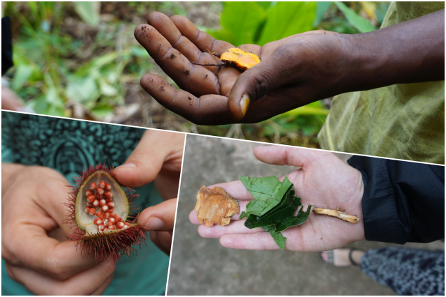 collage épices zanzibar.png