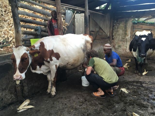 20b5db38-bd9b-407f-836e-23d2ed185a45