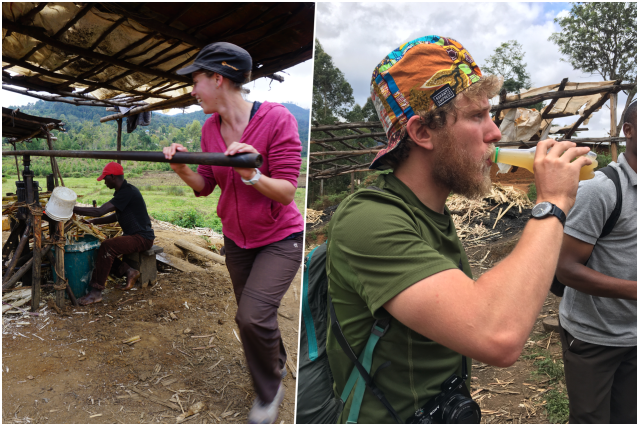 collage canne à sucre lushoto