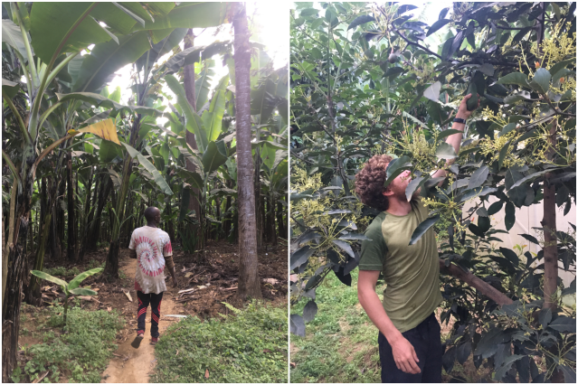 collage visite ferme