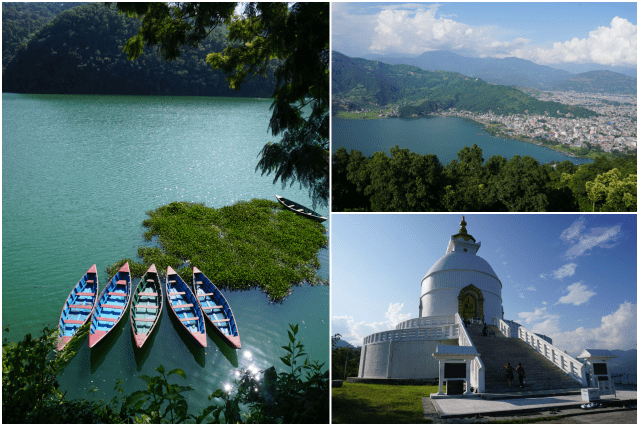 collage Pokhara