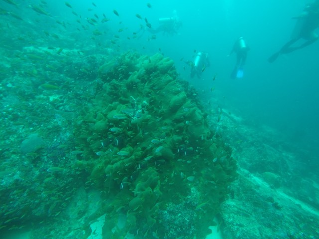 DCIM101GOPROGOPR2720.