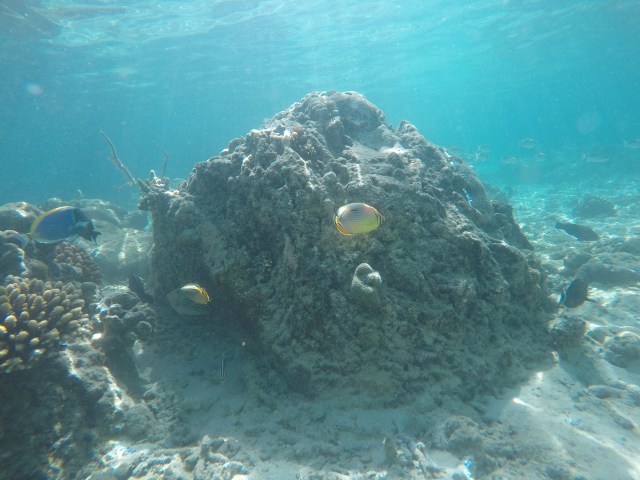 DCIM101GOPROGOPR2776.