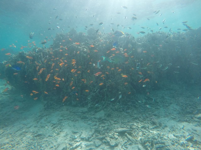 DCIM101GOPROGOPR2792.