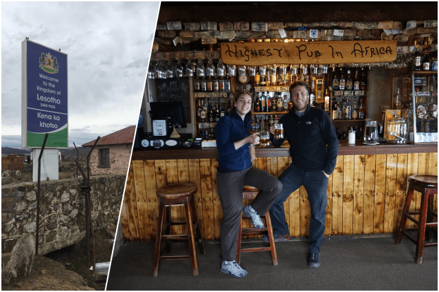 collage sanipass.png