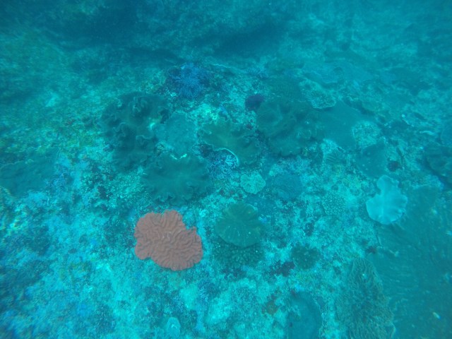 DCIM100GOPROGOPR3021.