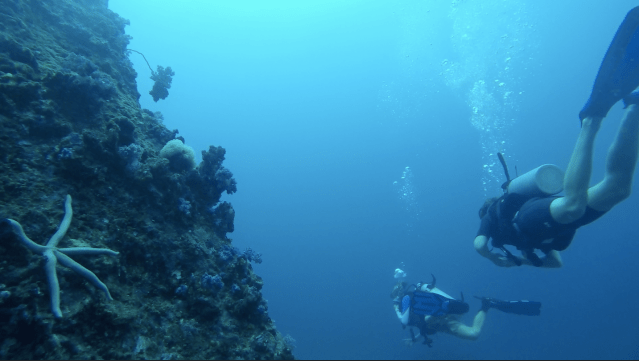 Capture d'écran 2018-11-17 23.08.09