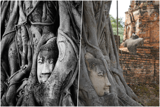 collage tete bouddha.png