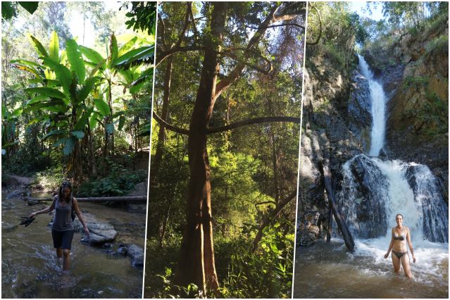 collage trek cascade