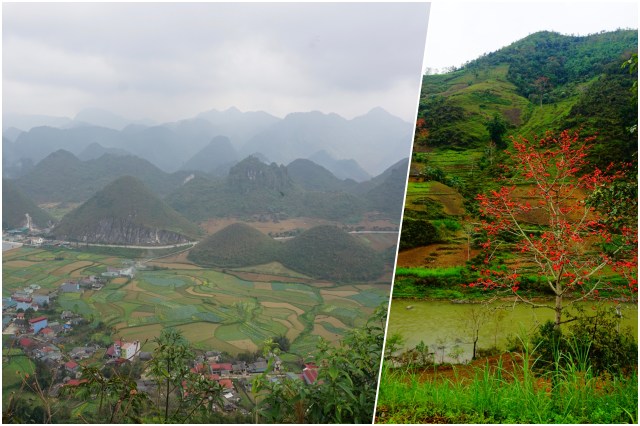 collage fée capotier.jpg