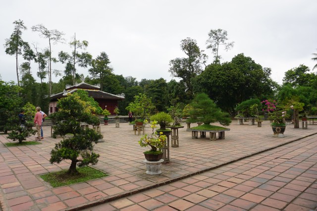 DSC02370