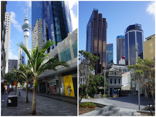 Collage_Fotor aucklandy.jpg