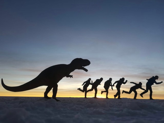 49c5562e-d0da-4d3b-a50f-b29f7070062c